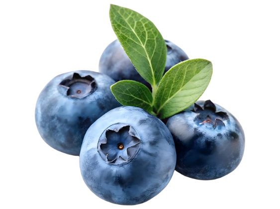 Blauwe bessen